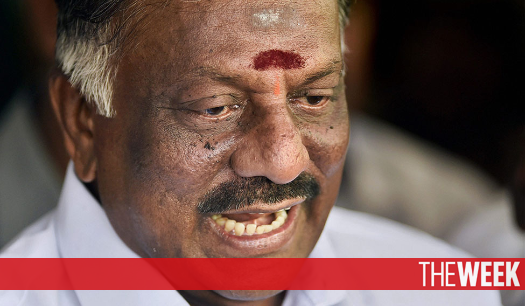 members panneerselvam family o IMPACT: seeks probe THE into NGO OPS WEEK