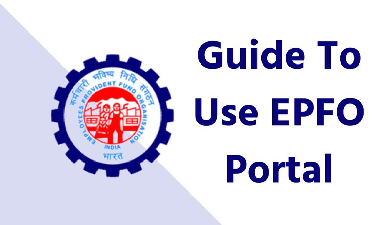 A Beginner's Guide to Using the EPFO Login Portal - Vimarsana News