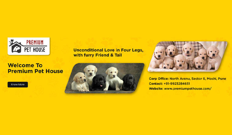Premium Pet House - Best Puppy For Sale In India - Vimarsana News