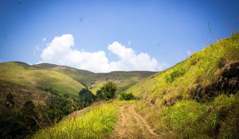 Sabarimala: A tale of flickering light in the woods - Vimarsana News