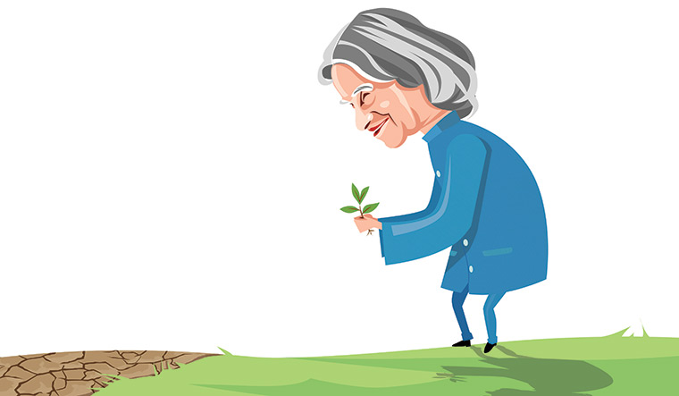 Seeds Of Hope The Week