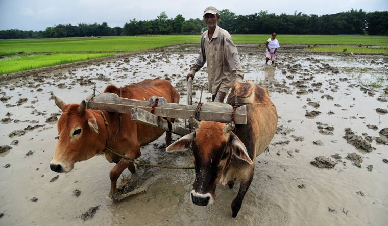 Climate change threatens labour productivity in India, study finds - Vimarsana News