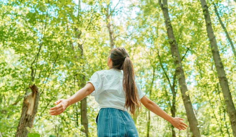 Scientists find tree diversity enhances forest resilience in face of storm - Vimarsana News