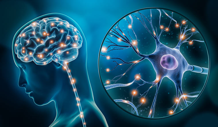 Neuroscience can explain why voting is so often driven by emotion