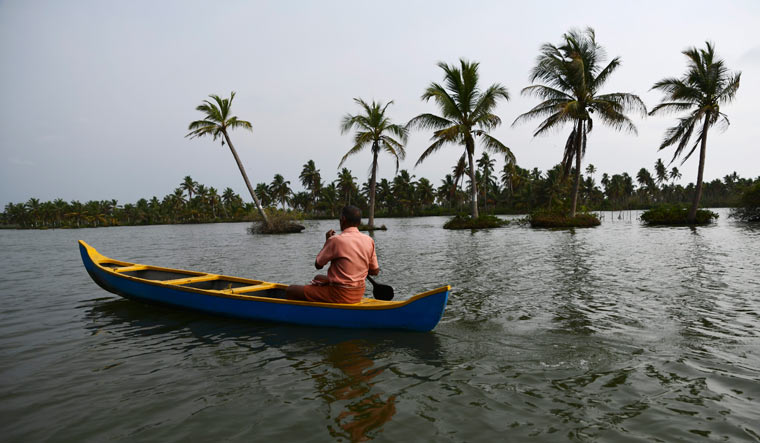 Trouble looms for ancient Indian grain that combats climate - Vimarsana News
