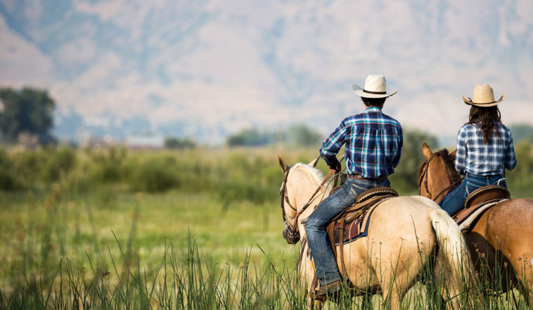 The healing hooves: How horse-human interactions improve health and ...