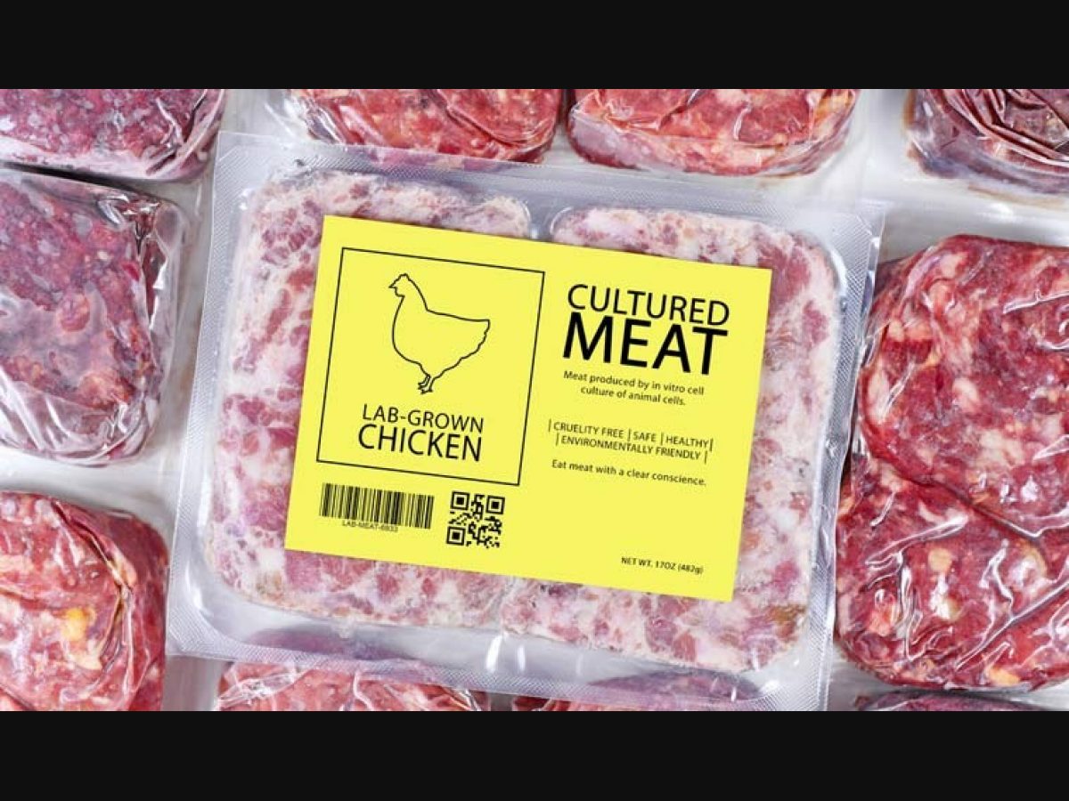Fda Approved Lab Grown Meat