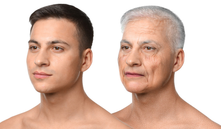 Researchers identify links between skin ageing, skin microbes in a new study - Vimarsana News