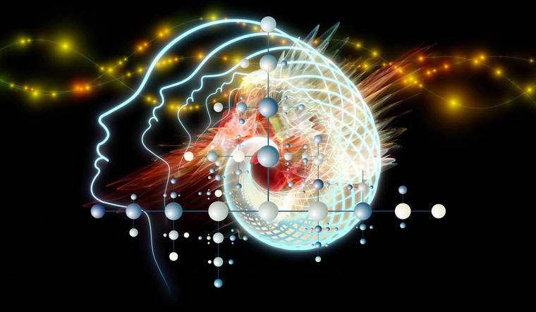 Scientists map human, primate brains at cellular and genetic levels - Vimarsana News