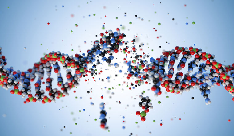 수수께끼 풀기: 새로운 유전자는 DNA 깊은 곳에서 발생합니다