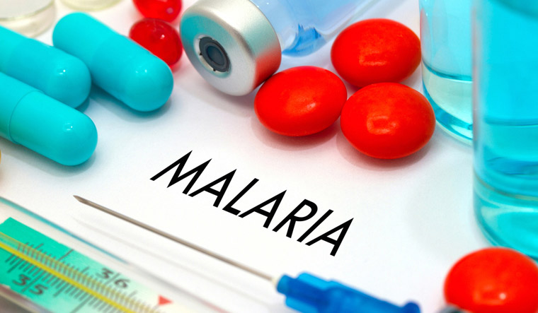 Malaria linked with genetic changes associated with ageing: Study - Vimarsana News