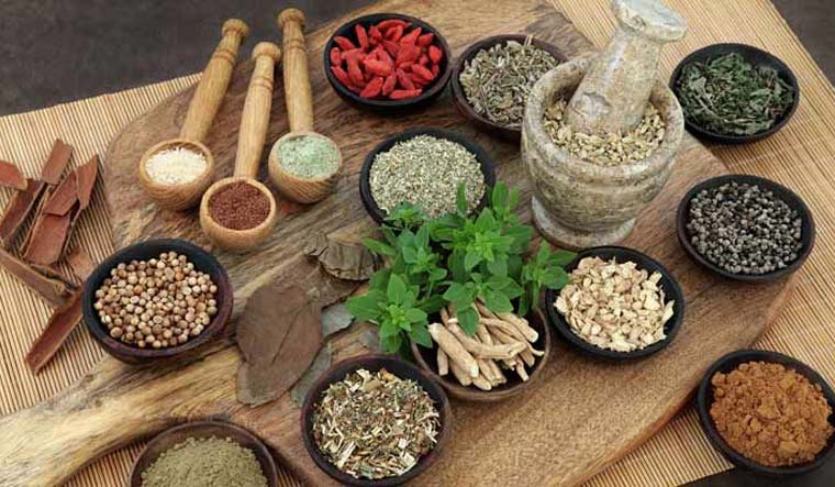 Two-day global traditional medicine summit to be held from tomorrow - Vimarsana News