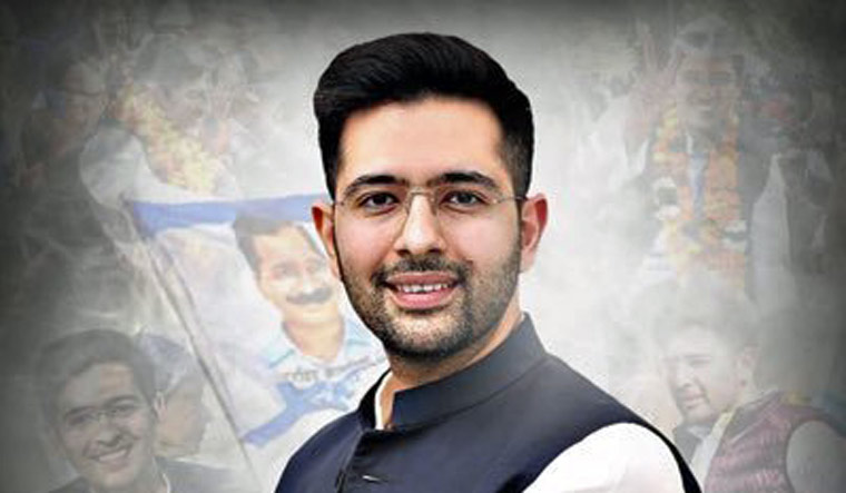 Raghav Chadha suspension: SC seeks Rajya Sabha secretariat's reply on AAP MP's petition - Vimarsana News
