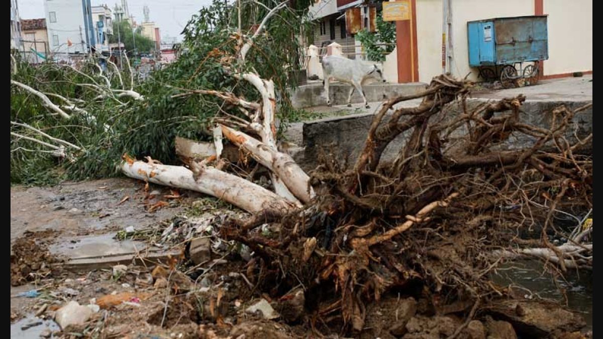 Cyclone Biparjoy to weaken into depression; may head towards southern  Rajasthan today - The Week