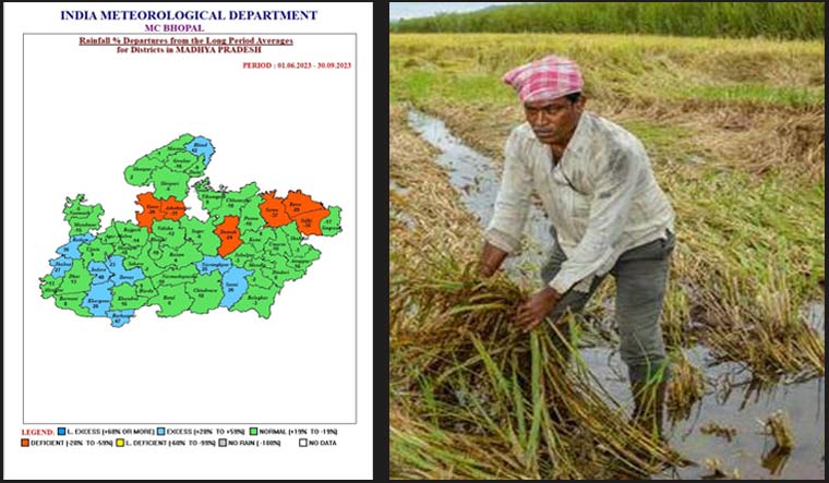 Madhya Pradesh receives full rain quota, but imbalance leads to crops damage - Vimarsana News