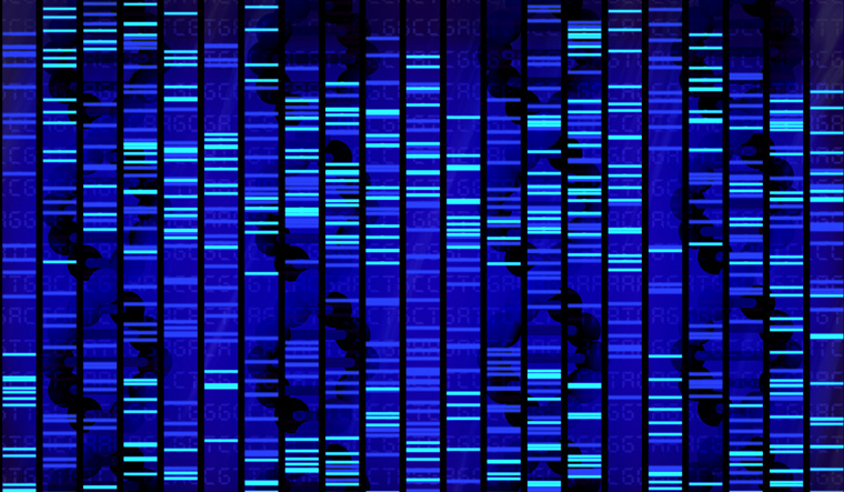 Genome sequencing to enable personalised drugs for Indians - Vimarsana News