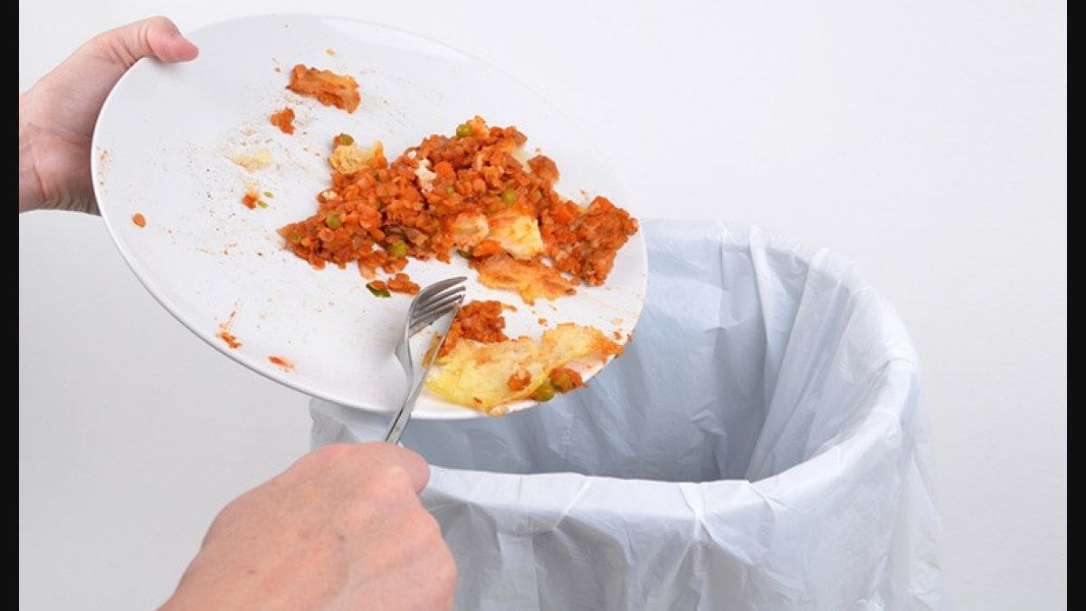 Food waste: A global crisis impacting 783 mn hungry people - The Week