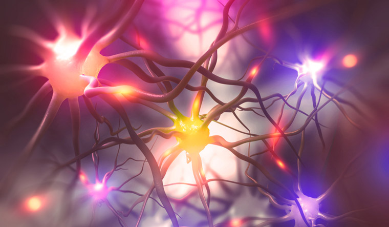 Scientists achieve breakthrough in printing human brain cells - Vimarsana News