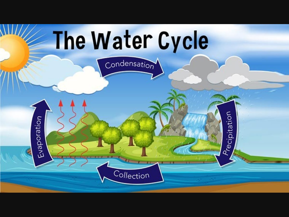 Water Cycle Circuit - Science World