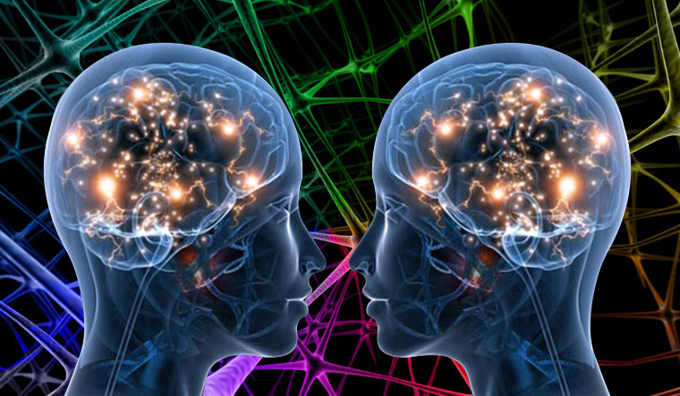 зеркальные нейроны. теория зеркальных нейронов. зеркальные нейроны и эмпатия. зеркальные нейроны человека. зеркальные нейроны.