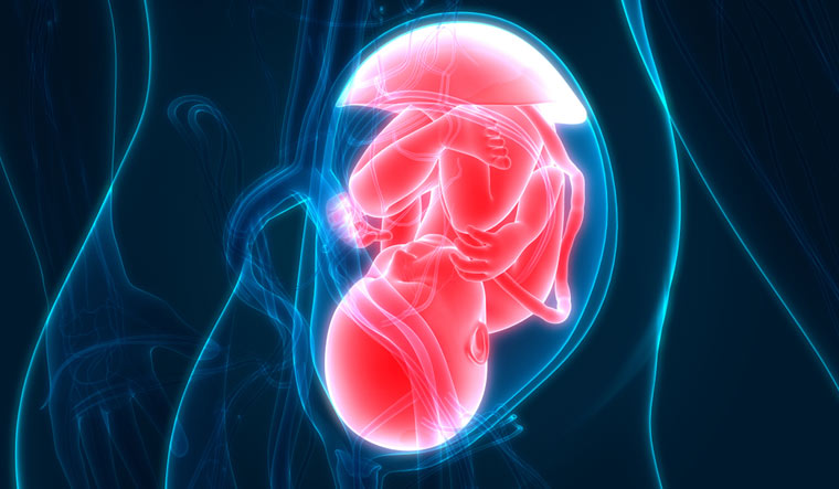 Adverse factors during pregnancy can affect child’s