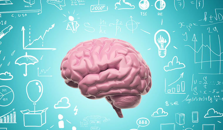 Human brain likes new information the same way as money ...