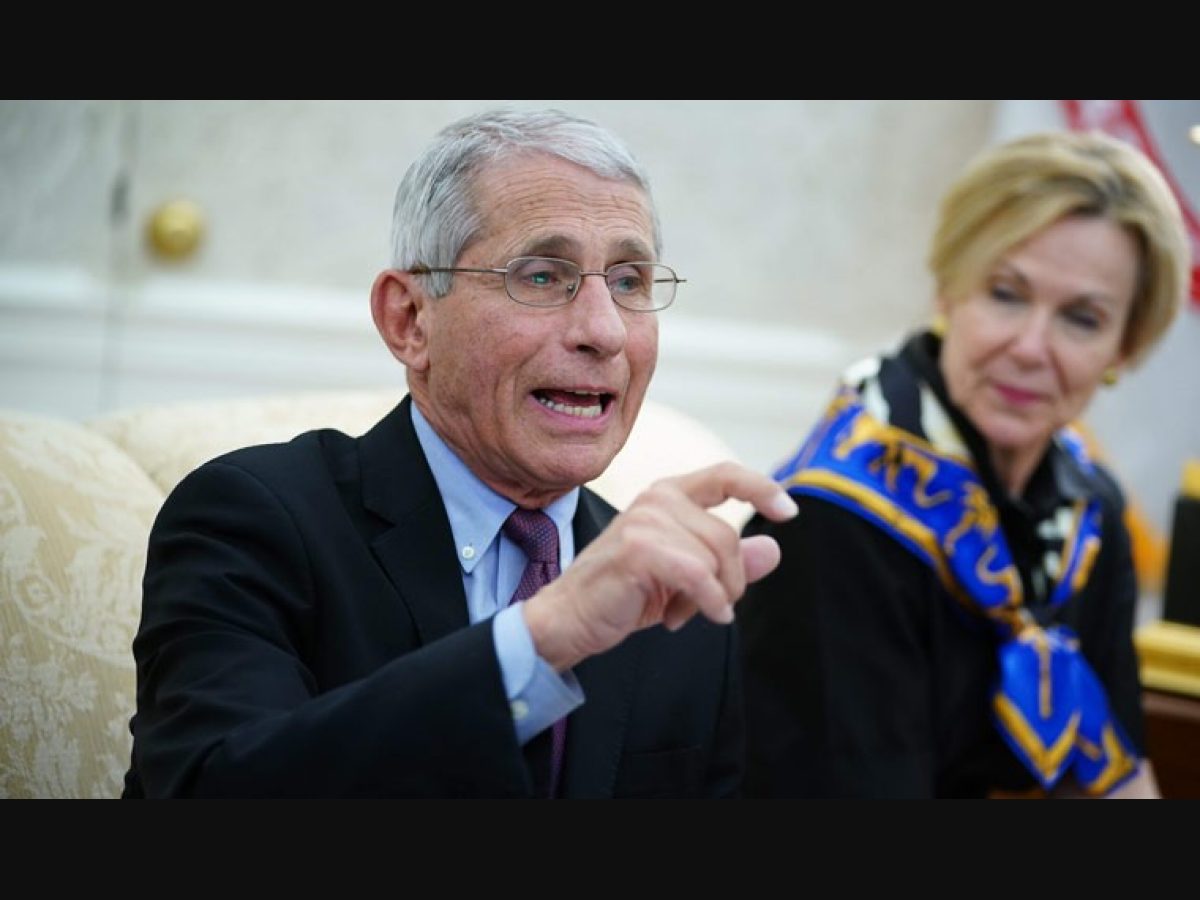 US: Dr Fauci is the highest-paid Federal employee - The Week