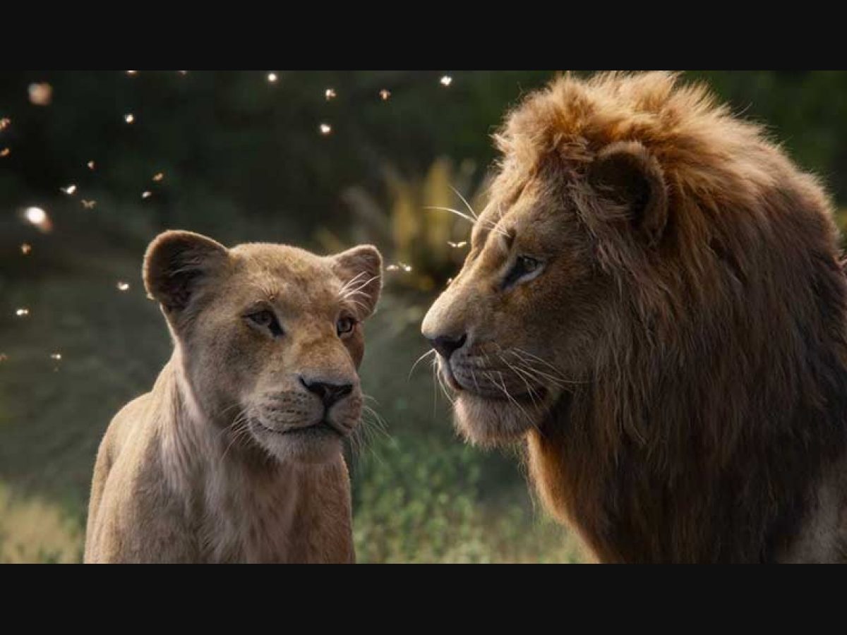 The Lion King Review Picture Perfect Reboot But With Its Soul Missing The Week