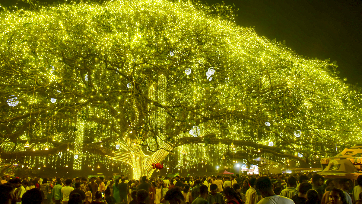  How to celebrate New Year in Kerala: A guide to the best events