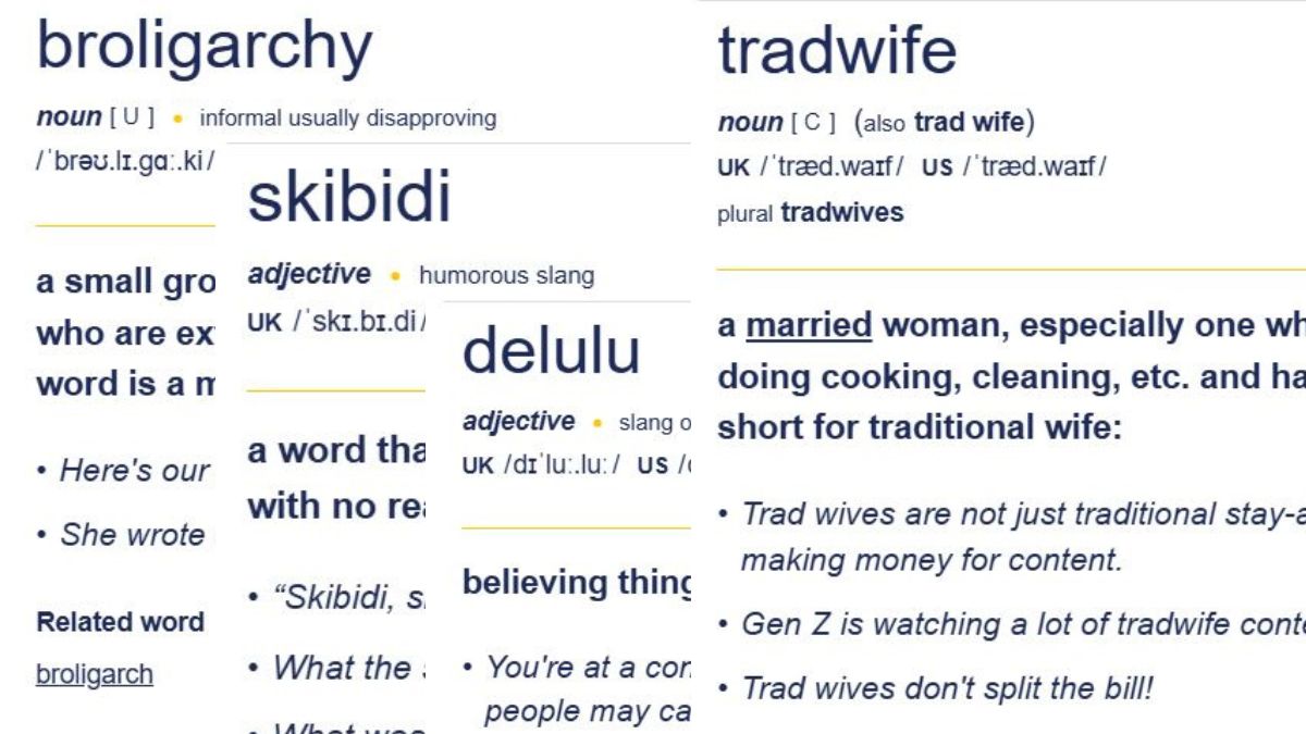 It’s delulu to think the English language will not evolve; what does the new words added to the Cambridge dictionary mean?