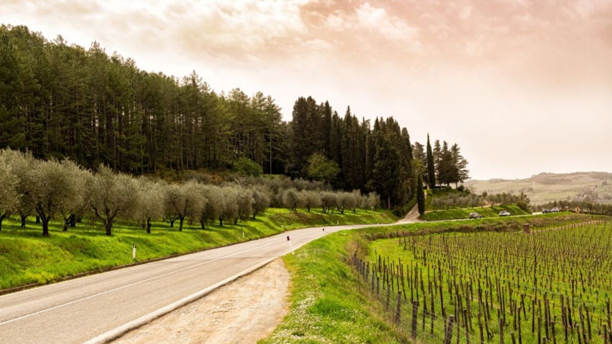 Strada Chiantigiana: Driving through Tuscany with Forster, spaghetti worms and sprezzatura