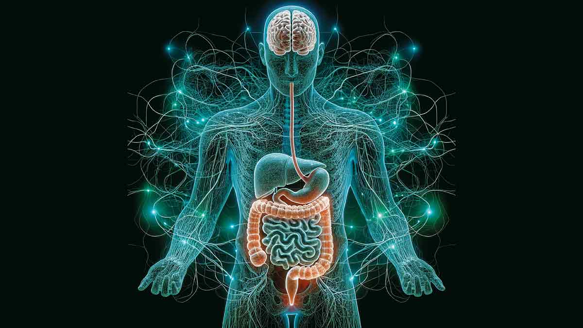 Wegovy: Five experts explain the science behind the weight loss injection