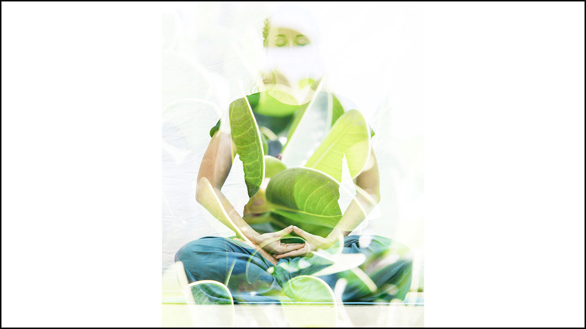 How ayurveda supports body’s defences against neurodegeneration