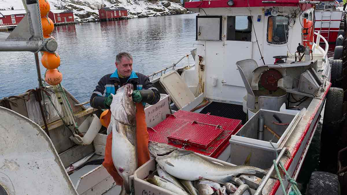 Reimagining India–Nordic collaboration through sea, skills and science