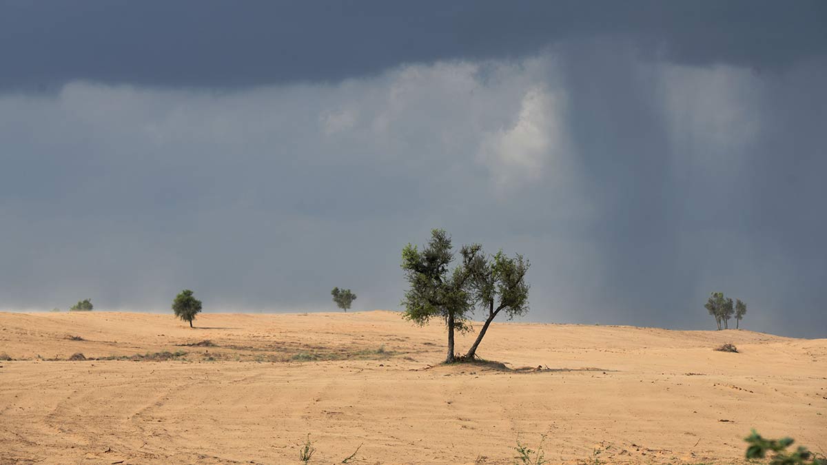 ‘Greening of the Thar is both a success story and a warning’: Vimal Mishra, IIT professor