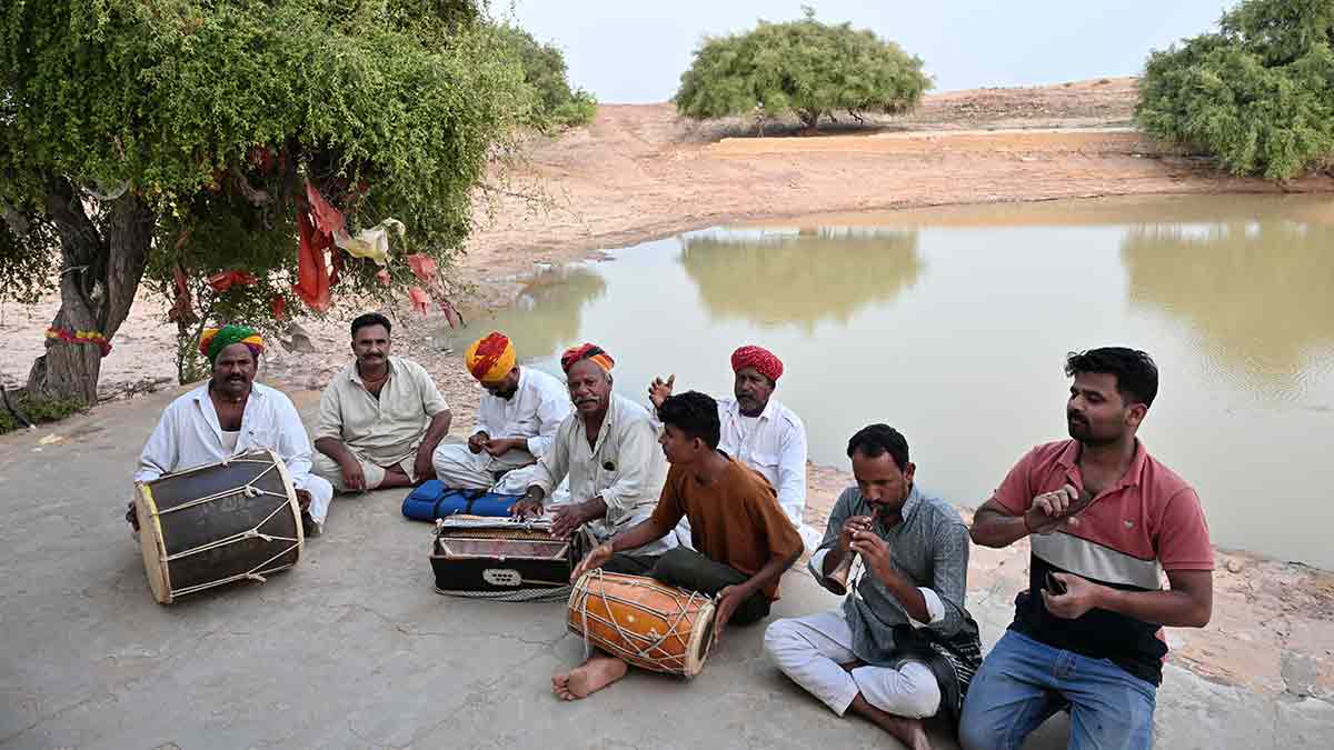 Are Rajasthan's ancient ‘orans’ being sacrificed for solar farms?