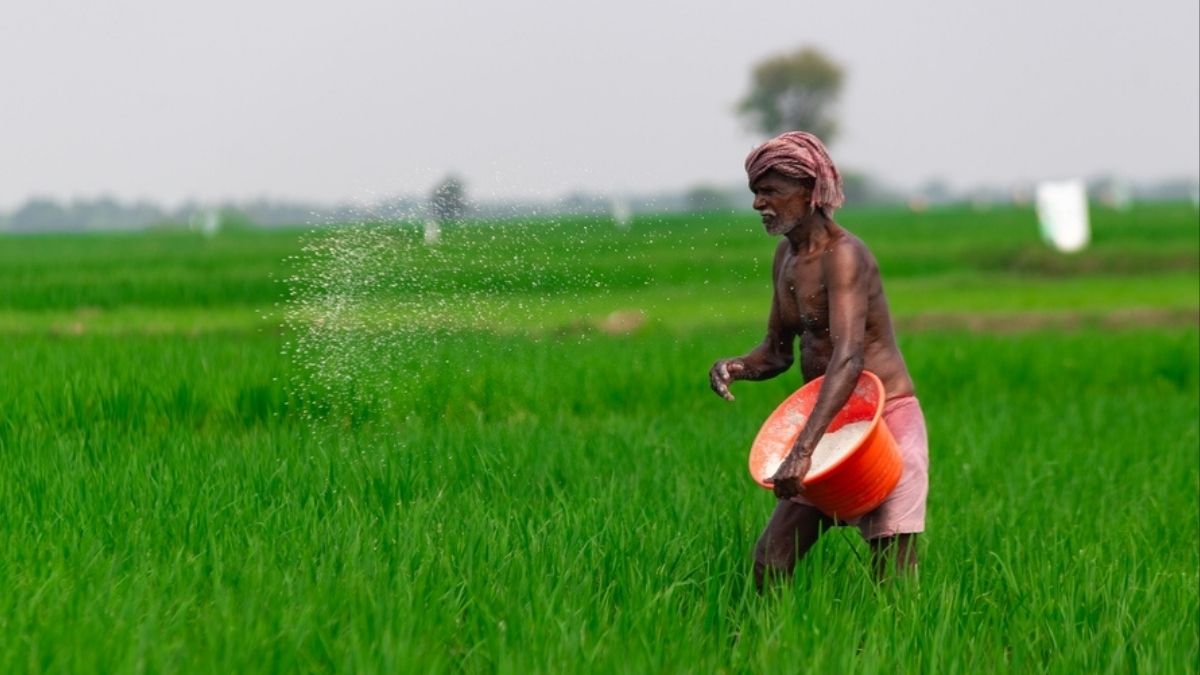 GST 2.0’s quiet bias: Why taxing value addition hurts small farmers | Opinion