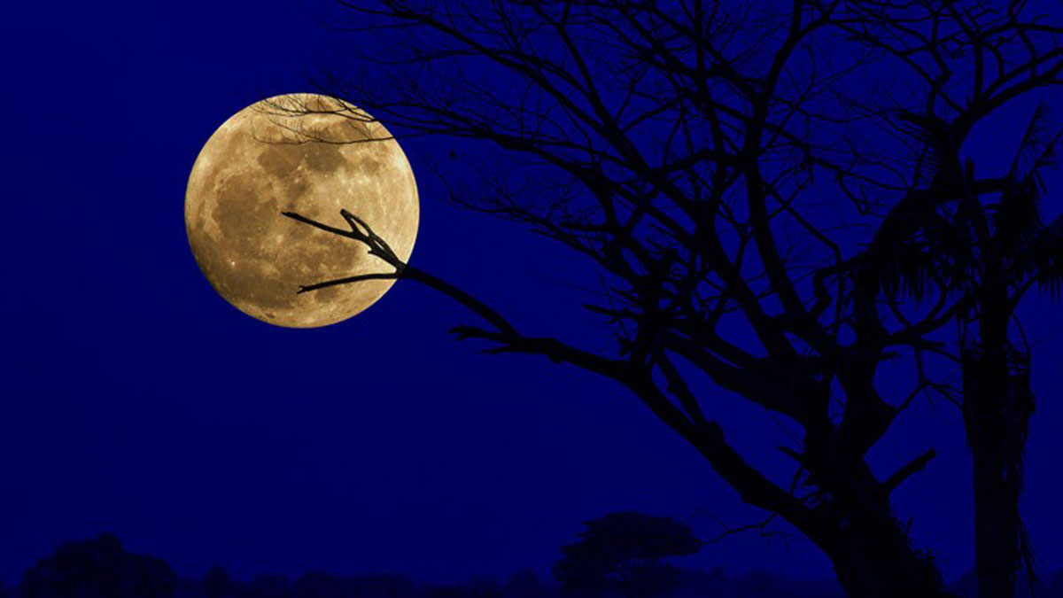 'If we learn how to live on Moon, it will prepare humans for life on Mars'