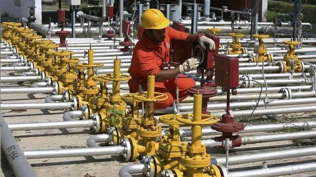 India’s great gas dilemma: How much PNG is too much? 