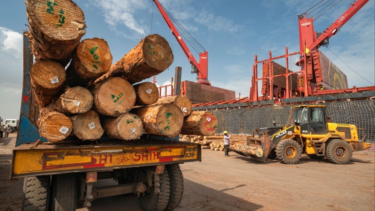 India-New Zealand FTA: Where trade meets timber