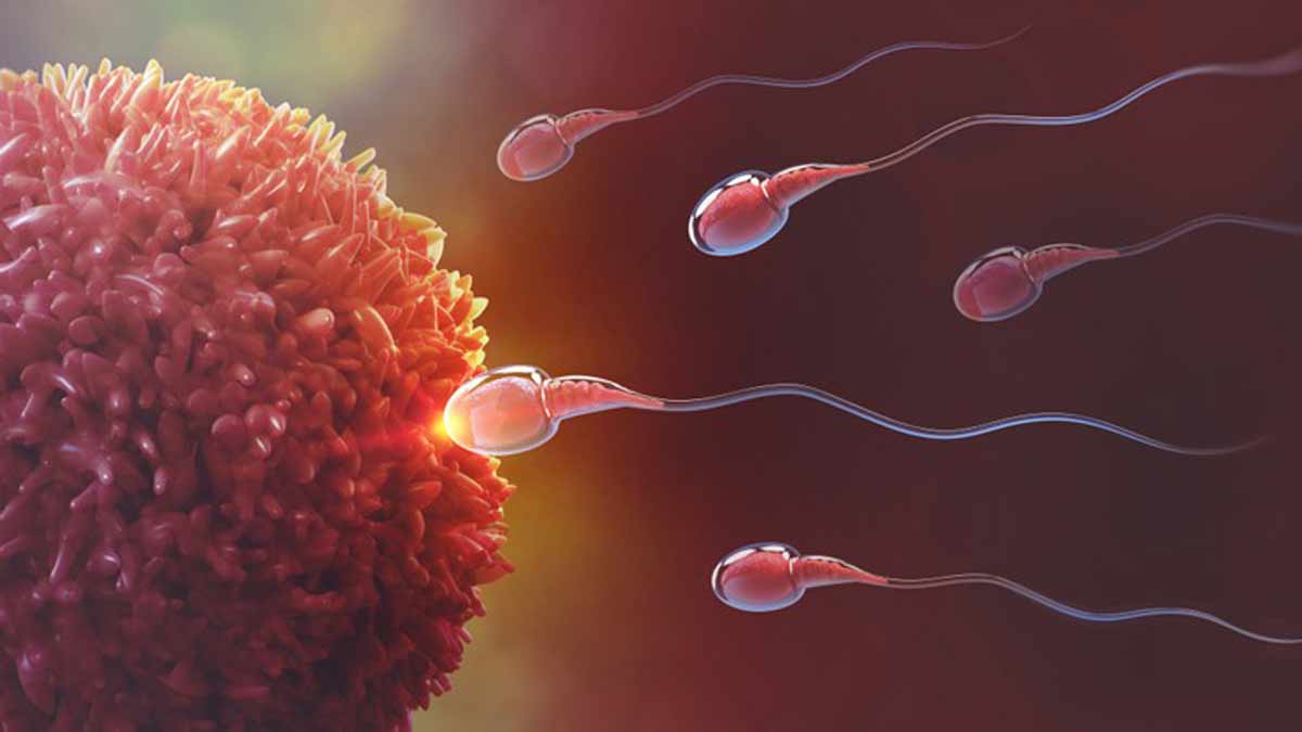 No more condoms or vasectomies? THIS new male birth control could ...