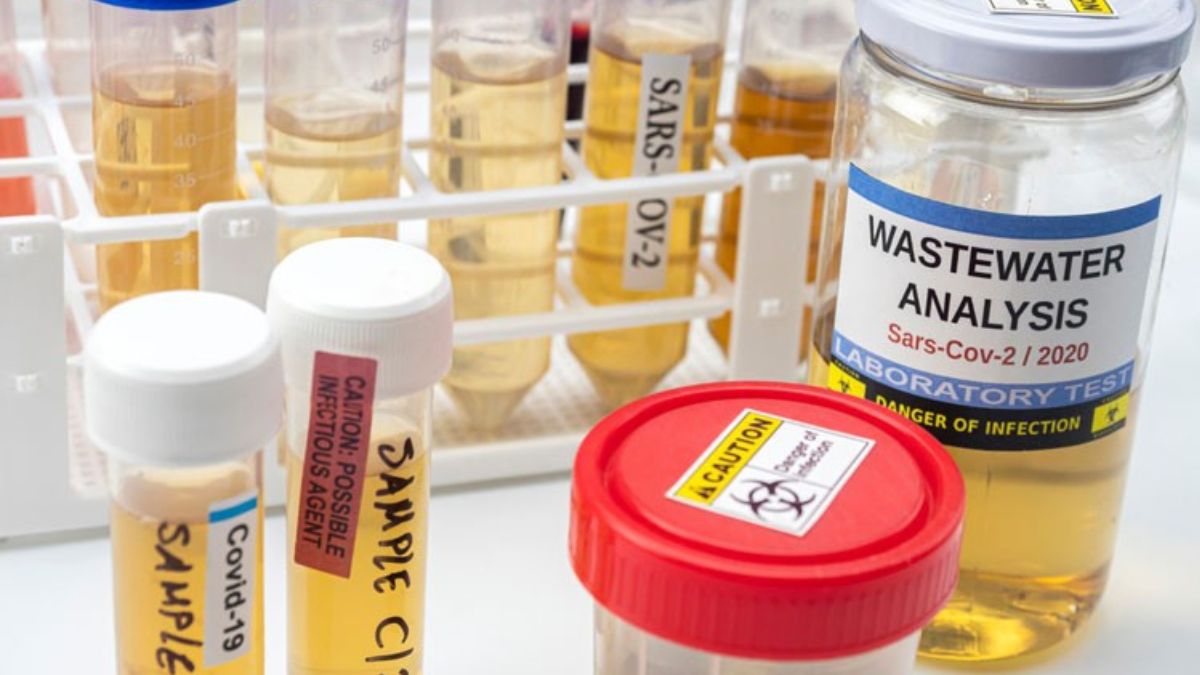 The hidden clues in your sewage: How wastewater surveillance can complete India’s 'one health' vision