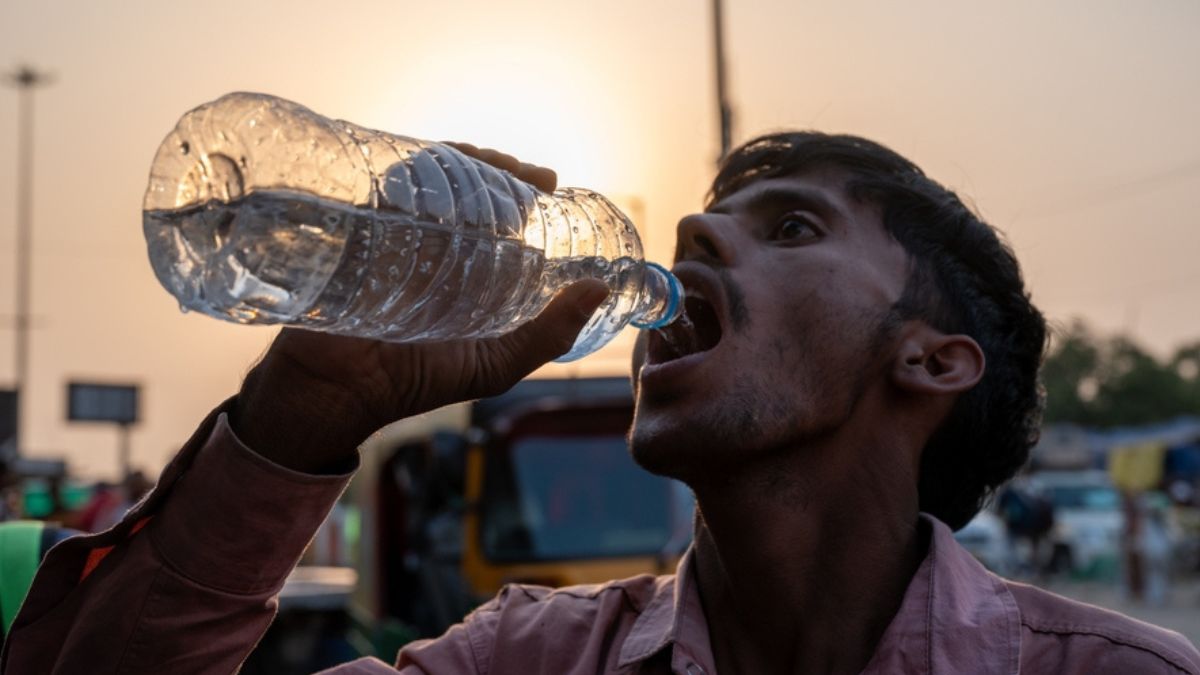 Study proves PET bottle nanoplastics toxic to gut bacteria; Could this trigger a ban in India?