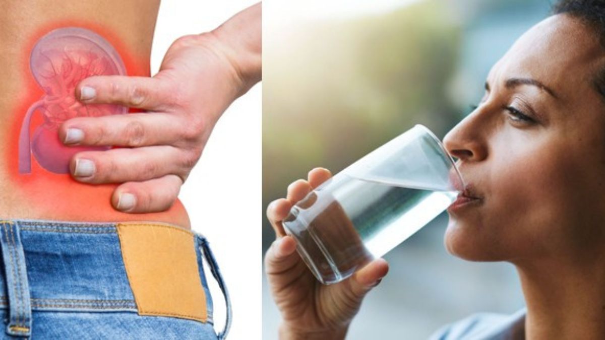 World Kidney Day | How heat dehydration and pollution are impacting kidney health in India