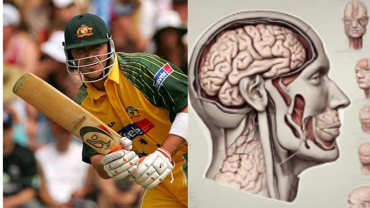 Australian cricket legend Damien Martyn in induced coma: What is meningitis and how dangerous is it?