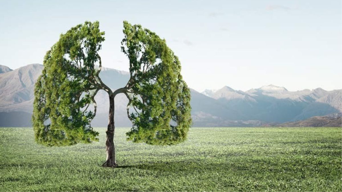 Can tuberculosis be eliminated? Pulmonologist weighs in on India’s fight against TB