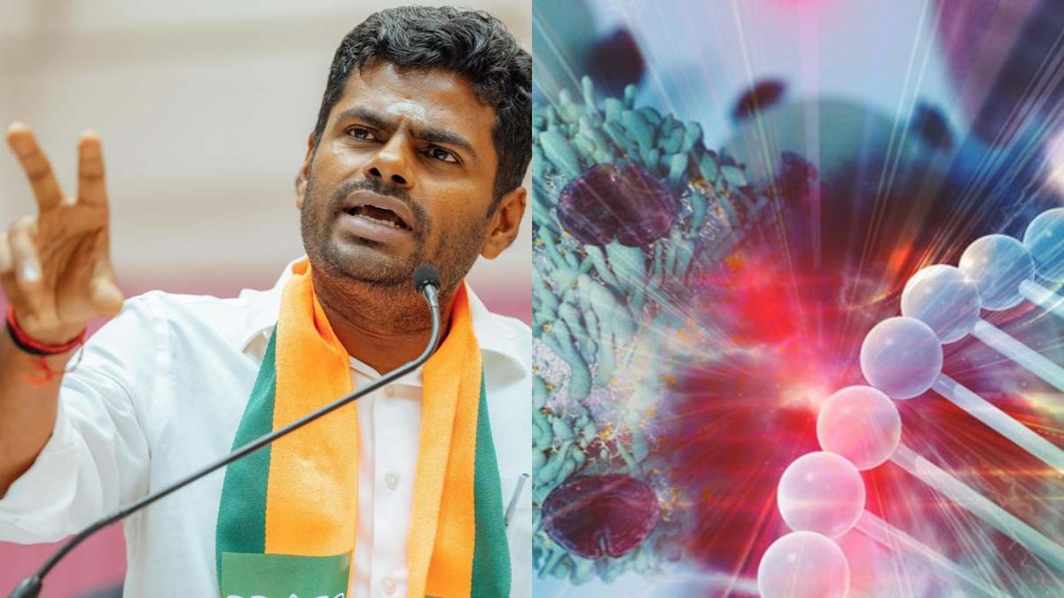 Can fasting kill cancer cells, as BJP leader Annamalai suggested? What you need to know
