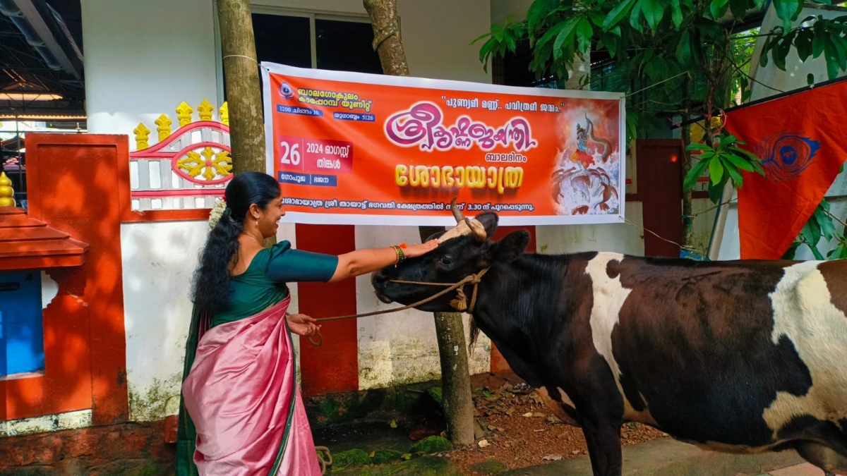 Kerala bypolls BJP's young software engineer to take on Priyanka