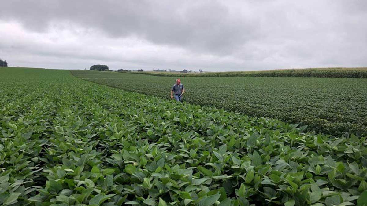 How agricultural engineering is reshaping modern farming practices in India
