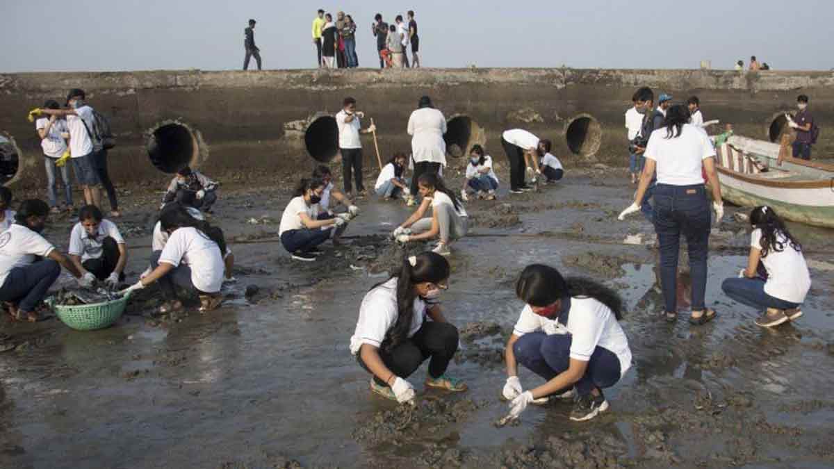 Practically Inclined Student Girls students more inclined to volunteer for social cause than boys ...